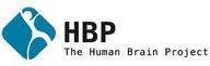 human brain