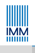 logo_imm