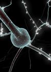 maly2-single_neuron_BlueBrain