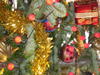 chonika2_2010