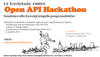 openAPI_Hackathon_plazma