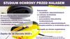 studium ochrona przed halasem