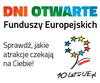 MIR - Banner 300x250